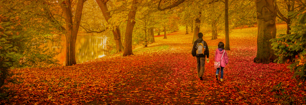 travelers walking in fall foliage